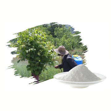 Hot Sell Insecticide Deltametrin 98% TC